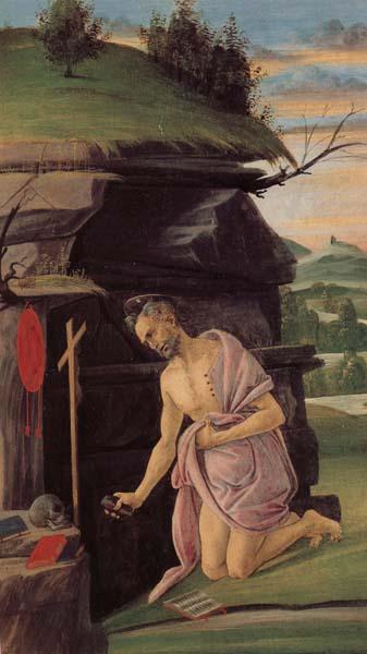 Alessandro Botticelli St.Jerome Sweden oil painting art